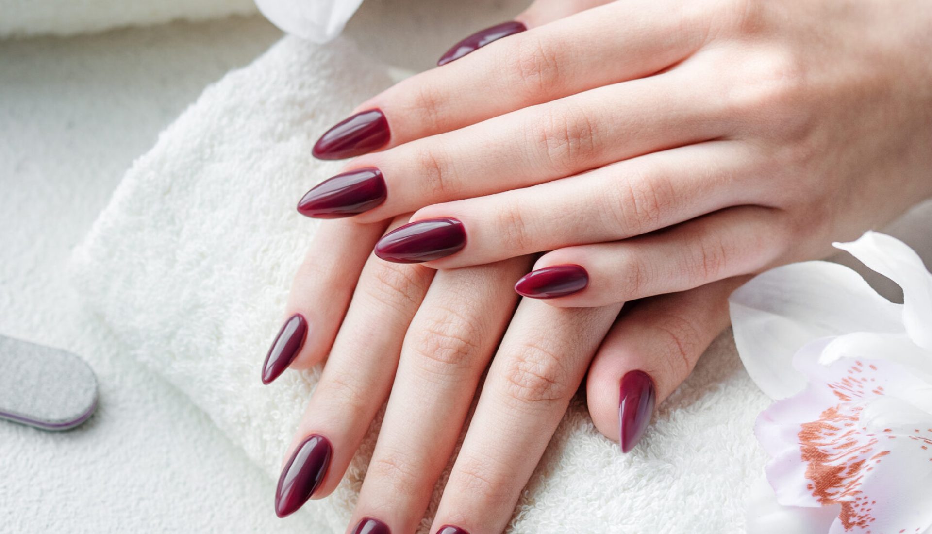 Beautiful hands of a young woman with dark red manicure on nails. Manicure process.
